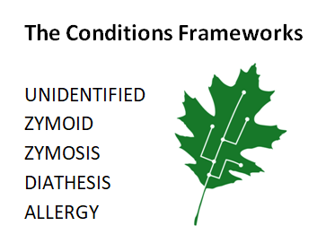 condition framework list